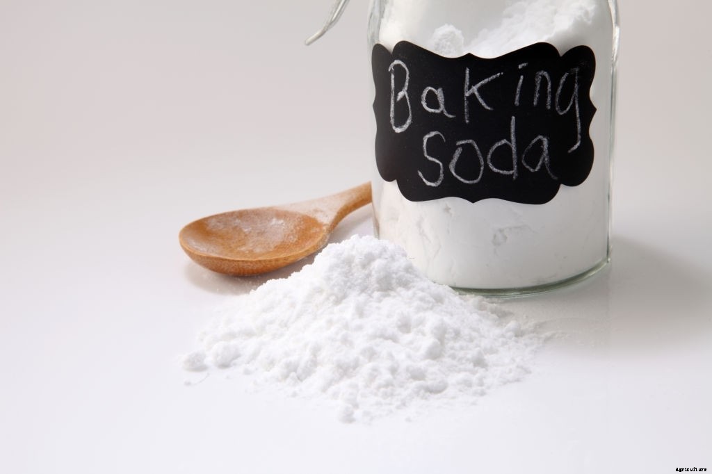 22 Factors That Make a Garden Grow and Flourish