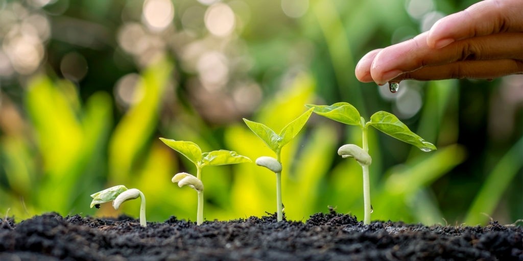 22 Factors That Make a Garden Grow and Flourish