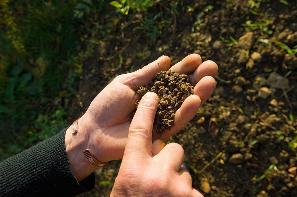 22 Factors That Make a Garden Grow and Flourish