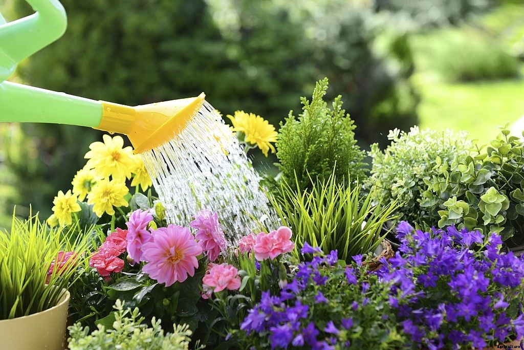 22 Factors That Make a Garden Grow and Flourish