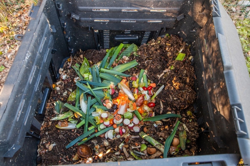 22 Factors That Make a Garden Grow and Flourish