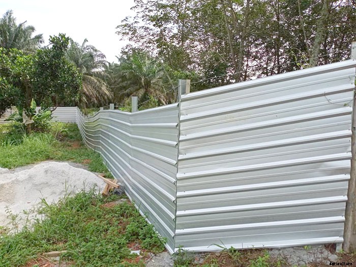 8 Helpful Tips For Planting An Orchard