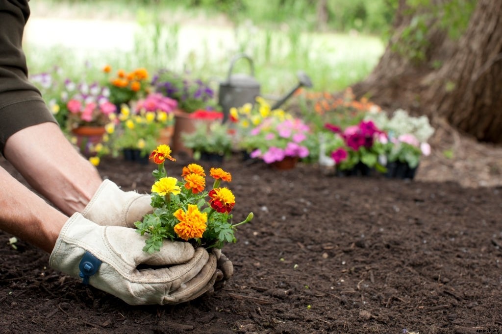 How To Make a Flower Garden From Scratch