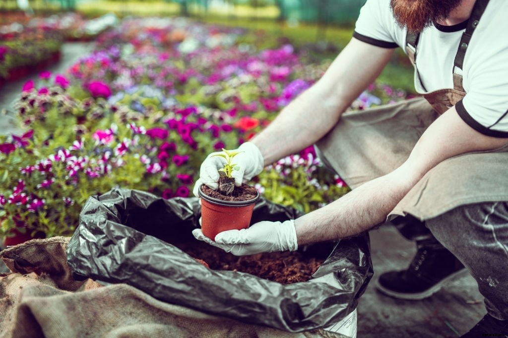How To Make a Flower Garden From Scratch