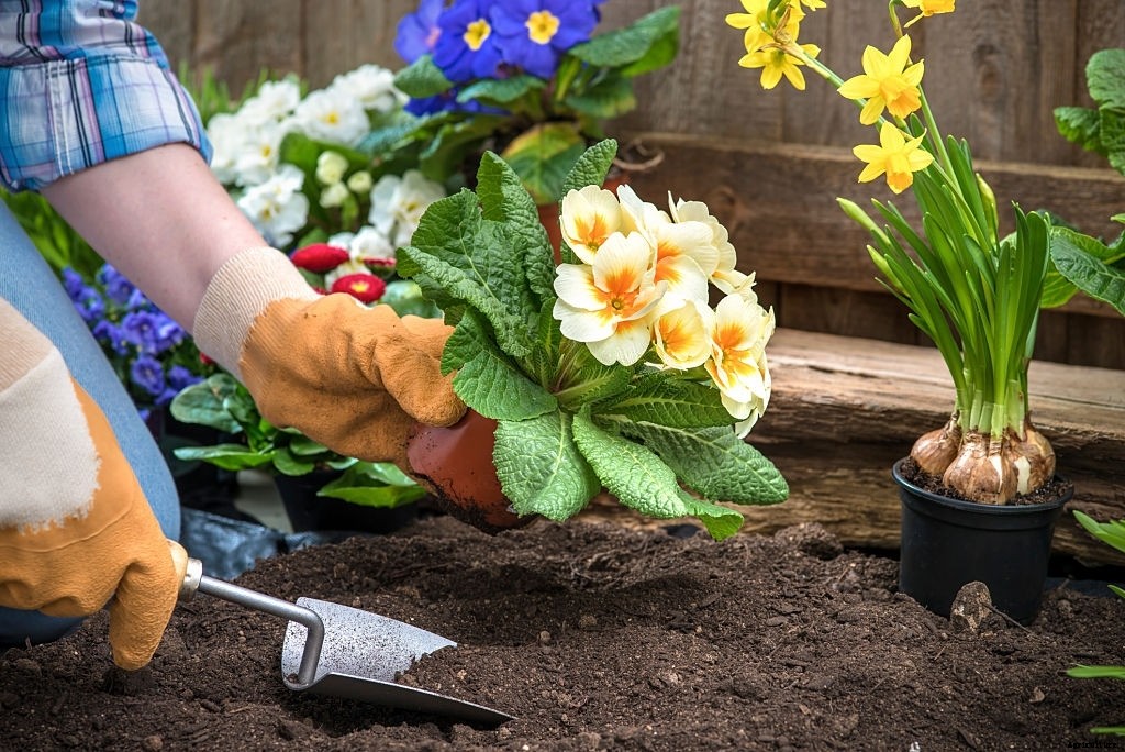 How To Make a Flower Garden From Scratch