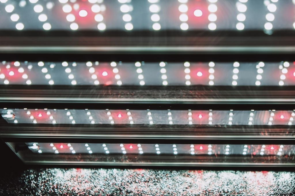 How to Start Growing Vegetables Indoors (Complete Guide)