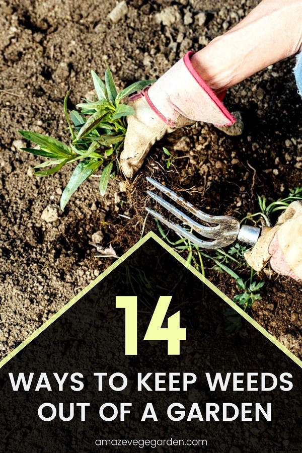 14 Ways to Keep Weeds Out of a Garden