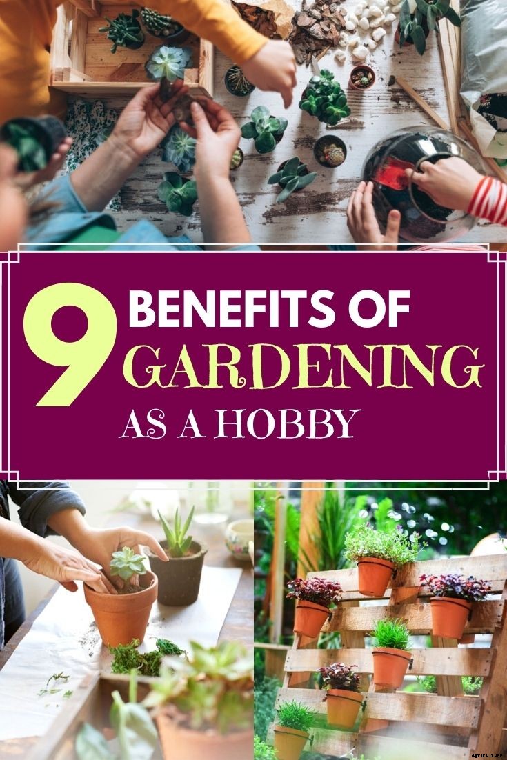 9 Benefits of Gardening as a Hobby