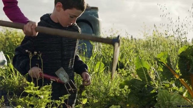 How to Weed a Garden the Easy Way