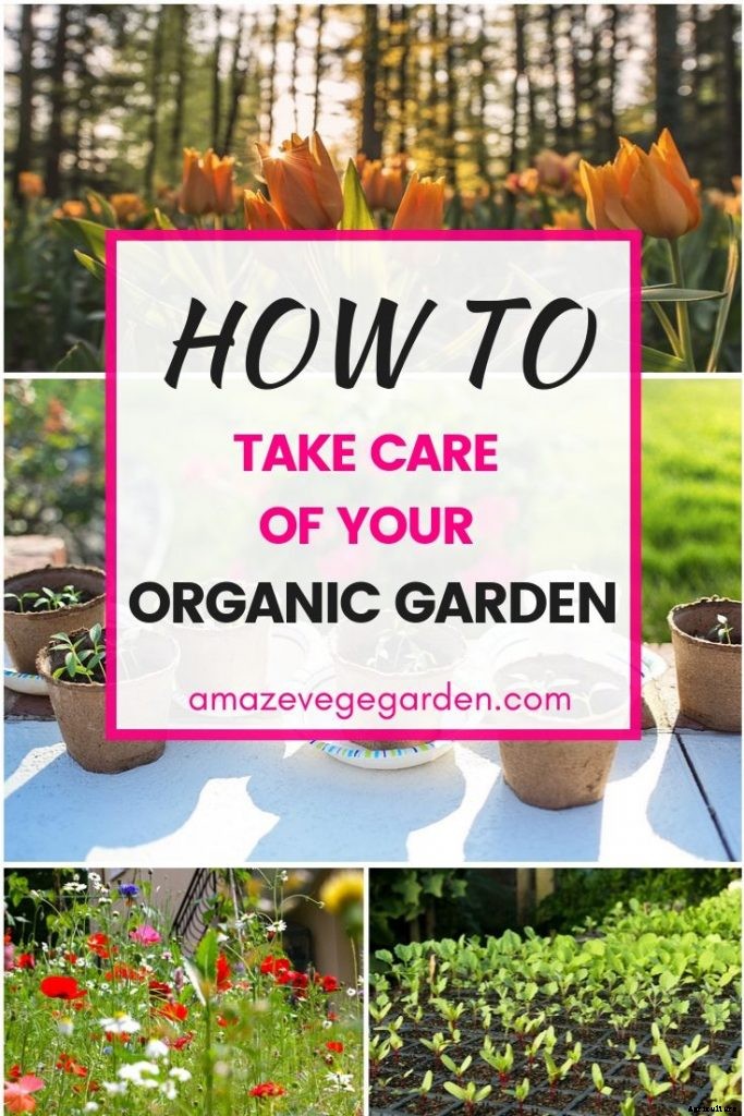 What Are Organic Gardens and What Are the Benefits?