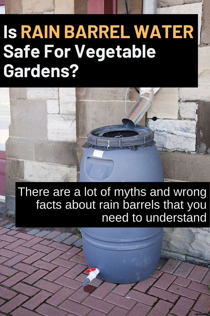 Is Rain Barrel Water Safe For Vegetable Gardens?