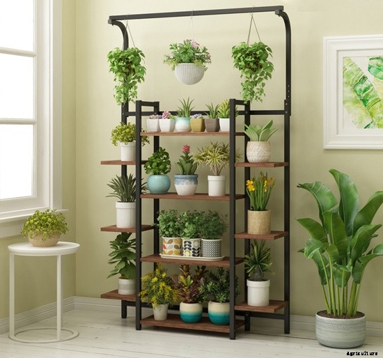 Solid Home Gardening Ideas for City Gardeners