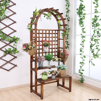 Solid Home Gardening Ideas for City Gardeners