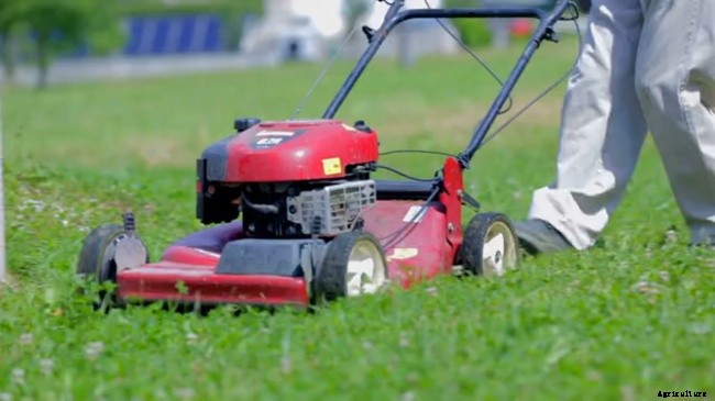 What is Included in Lawn Care Service?