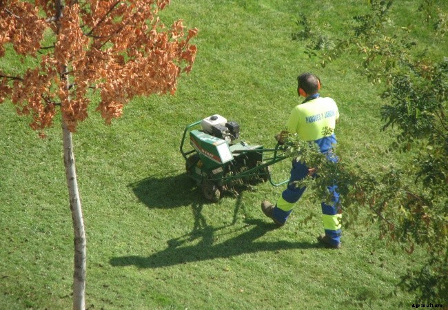 What is Included in Lawn Care Service?