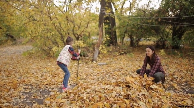 Basics of Planting a Fall Garden