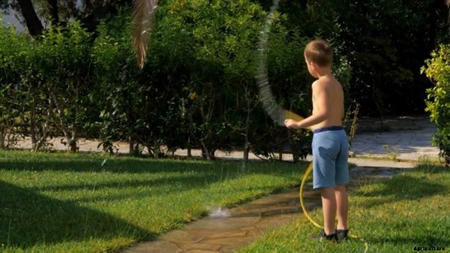 Ideal Gardening Tools and Garden Safety For Kids