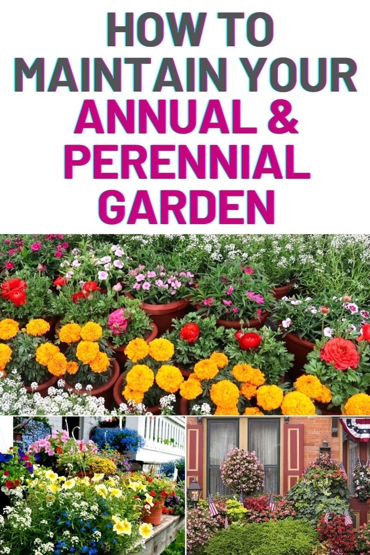 How To Maintain Your Annual and Perennial Garden