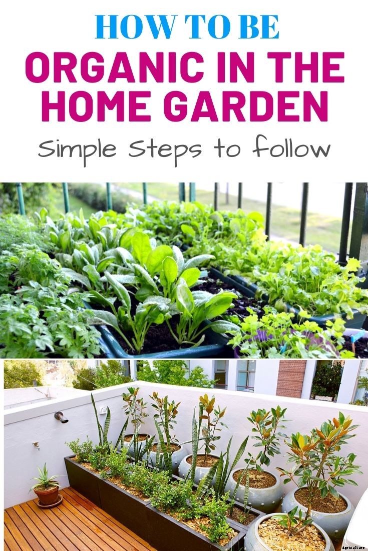 How To Be Organic In The Home Garden