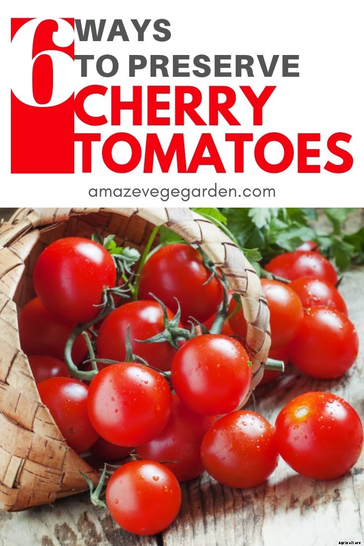 6 Ways to Preserve Cherry Tomatoes