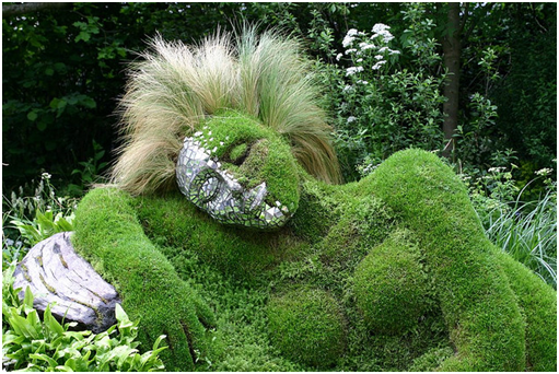 How To Have A Perfect Garden