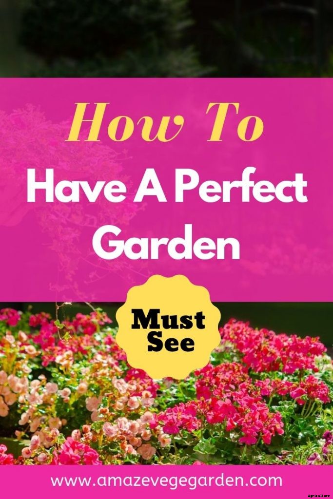 How To Have A Perfect Garden