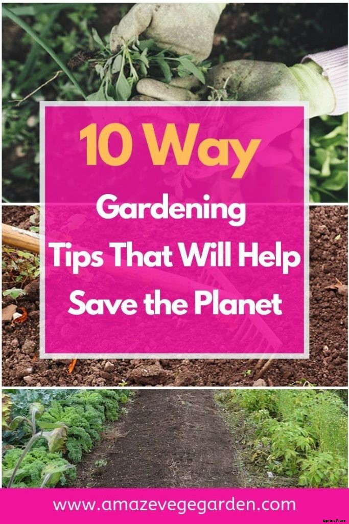 General Gardening Tips and Techniques