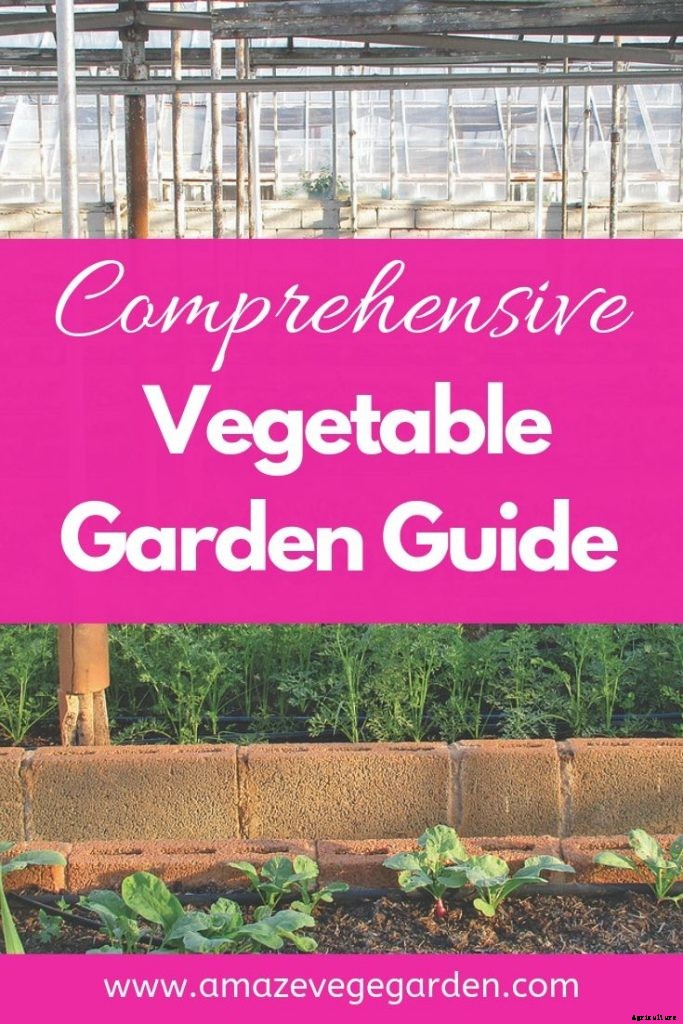 Comprehensive Vegetable Garden Guide