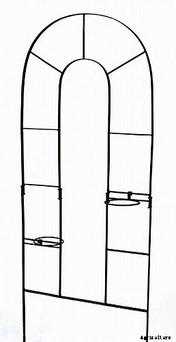 How To Making Trellises For Climbing Plants