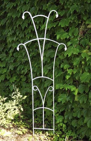 How To Making Trellises For Climbing Plants