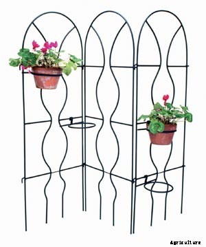 How To Making Trellises For Climbing Plants