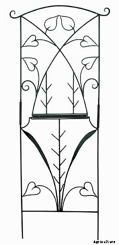 How To Making Trellises For Climbing Plants