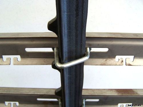 How To Making Trellises For Climbing Plants