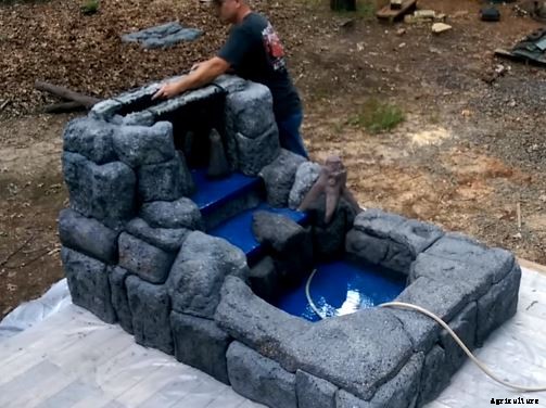 Water Pond Gardening- An Exciting Way To Beautify Your Yard