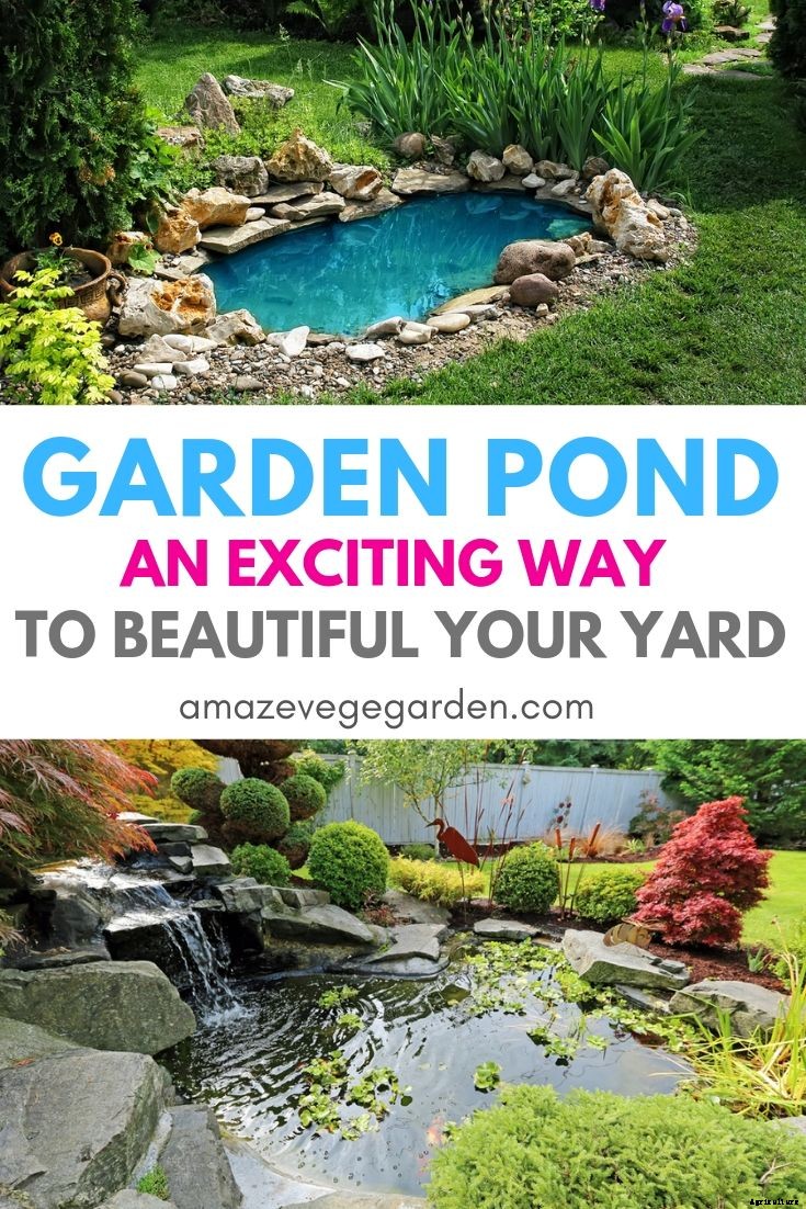 Water Pond Gardening- An Exciting Way To Beautify Your Yard