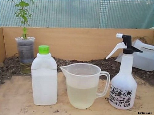 Typical Lawn Care Problems