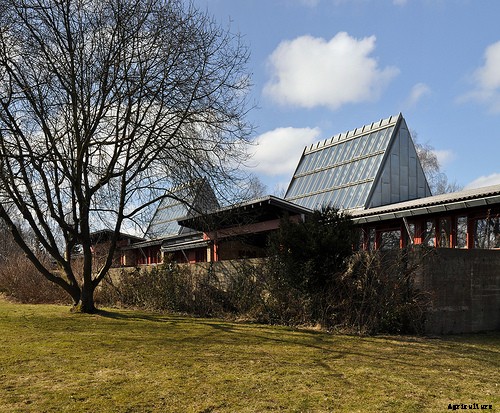 How to Choose the Right Trees for Your Garden