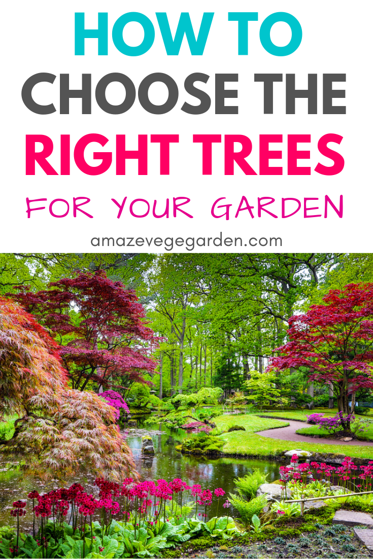 How to Choose the Right Trees for Your Garden