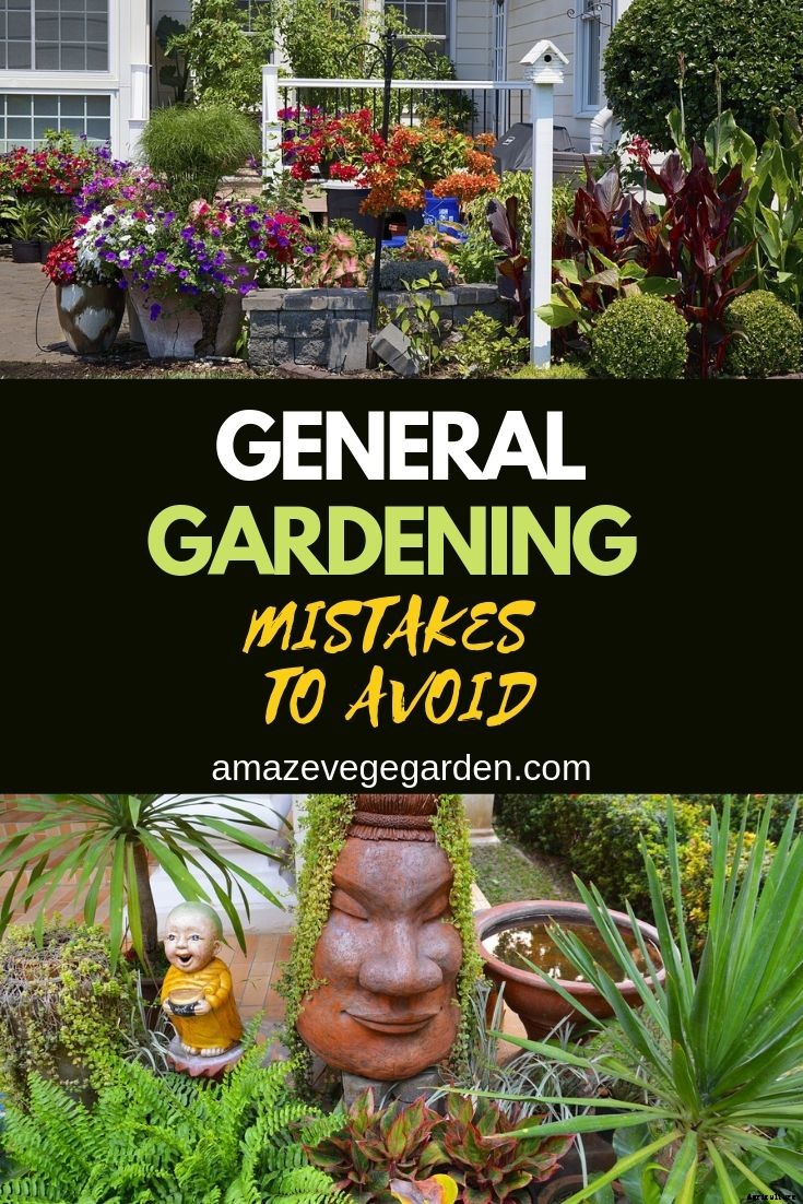 General Gardening Mistakes to Avoid