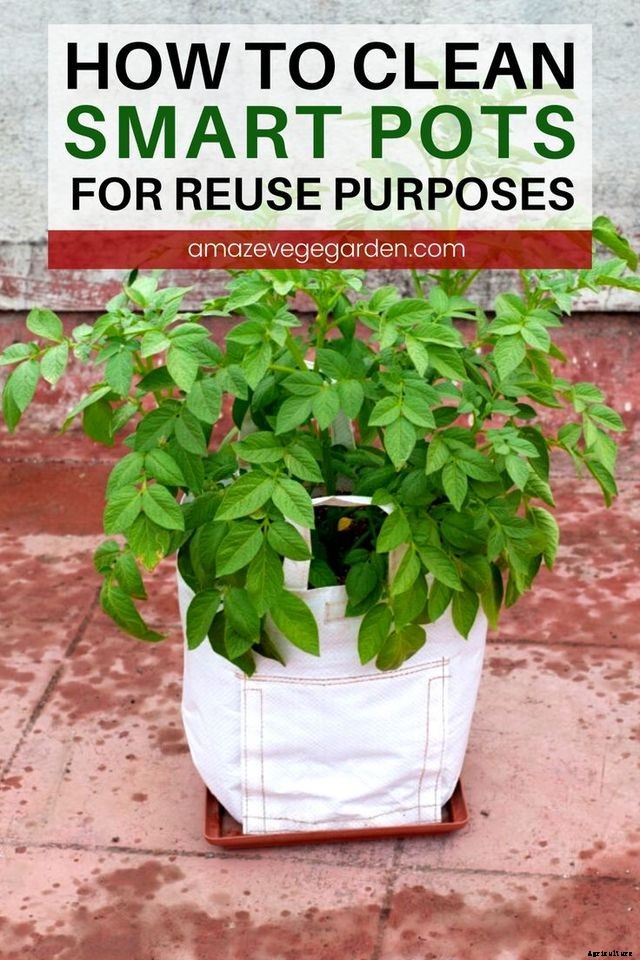 Smart Pots – How To Clean Them for Reuse Purposes