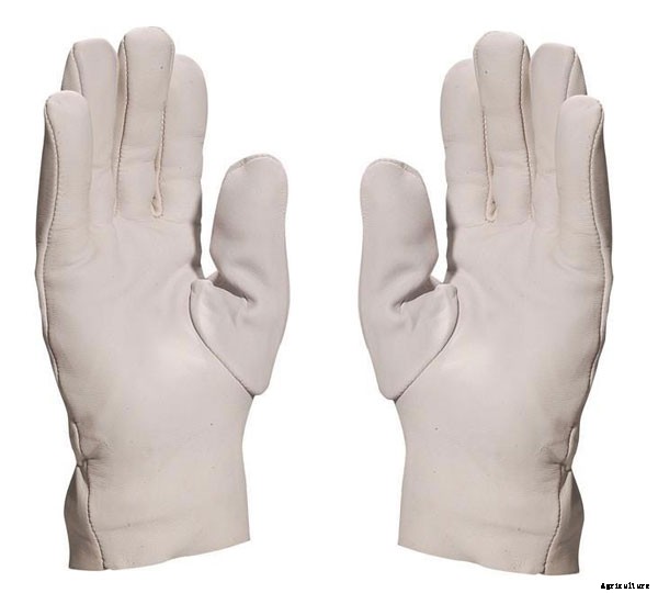 Aware of Rotavator Safety and Get Necessary Protections