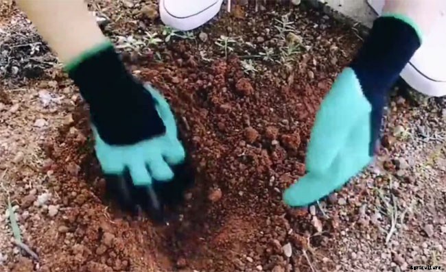 Best Gardening Gloves with Built in Claws