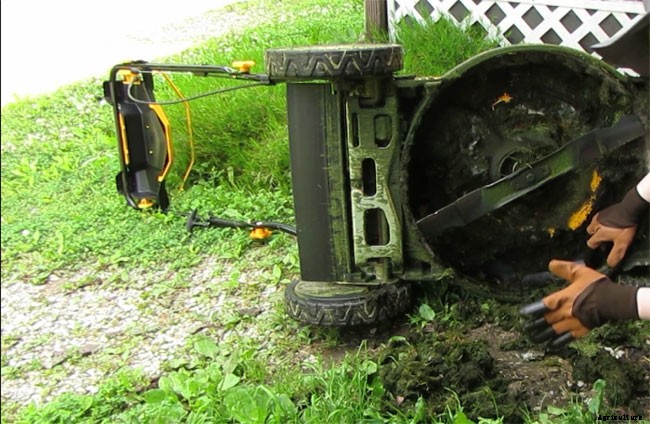 Best Gardening Gloves with Built in Claws