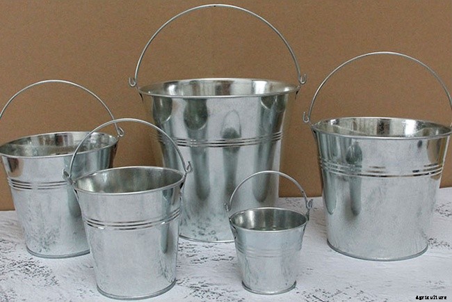 Different Types of Containers Used in Nursery