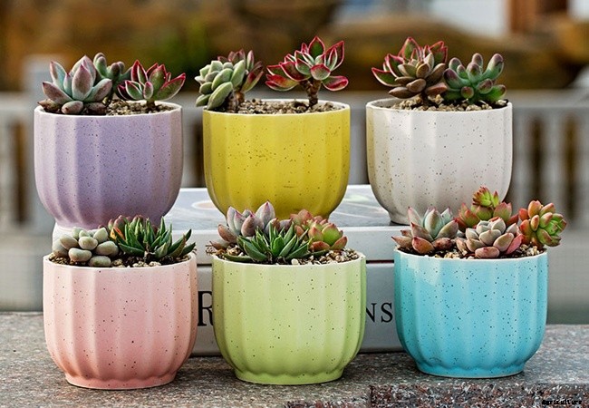 Different Types of Containers Used in Nursery
