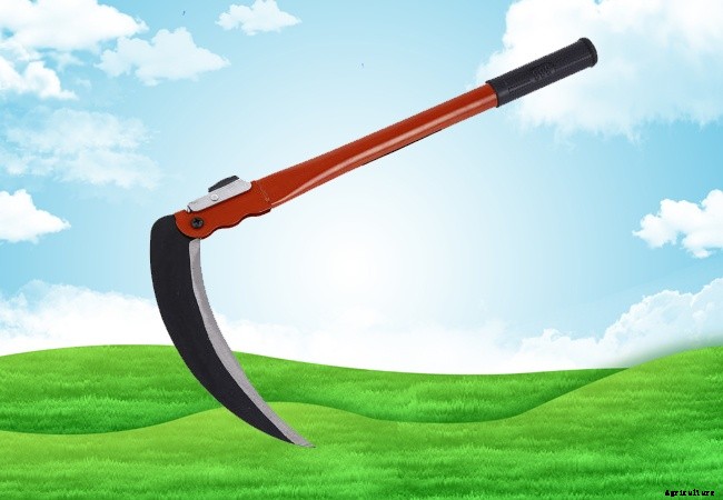 Specialty Garden Maintenance Tools That Ease Gardening Jobs