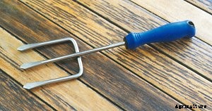 Must Have Garden Tools and How to Choose Them