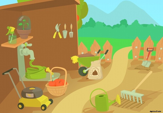 Must Have Garden Tools and How to Choose Them