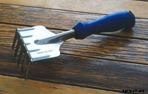 Must Have Garden Tools and How to Choose Them