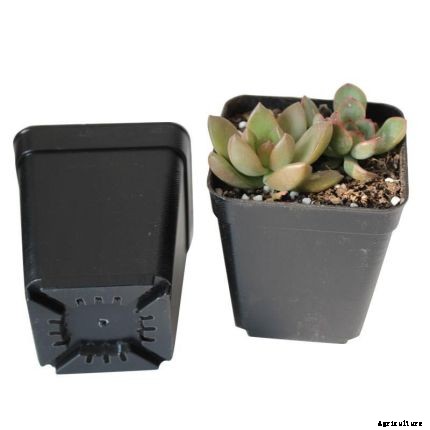 Benefits of Using Plastic Planting and Nursery Pots